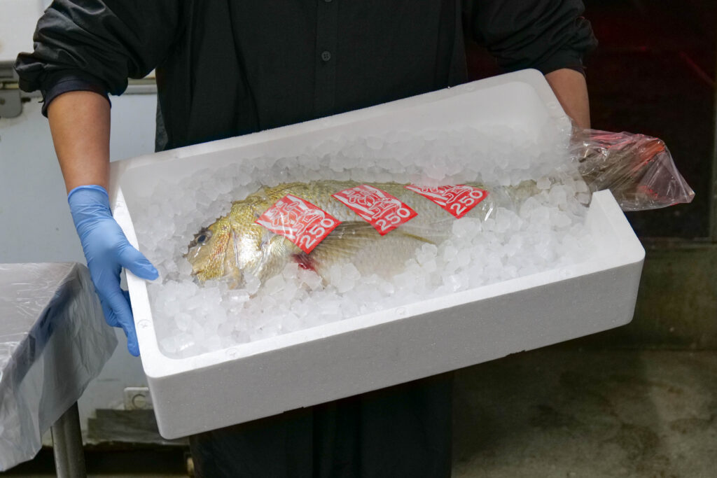 氷詰めした5.8kgの祝い鯛を魚政スタッフが運ぶ写真