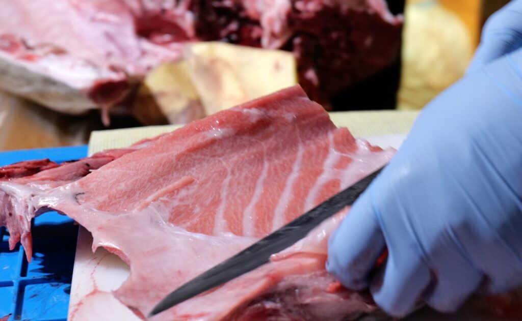 美しくサシの入った大トロ さかなやうおまさ