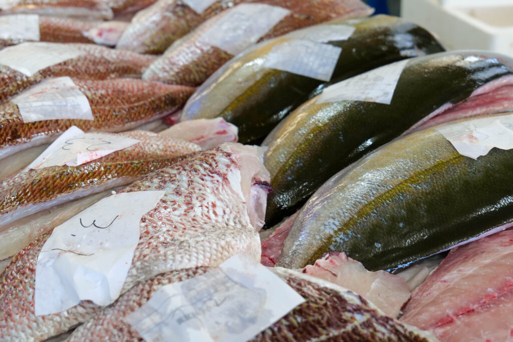 九州産の新鮮な鯛やカンパチ。魚政（うおまさ）が目利きで選び、丁寧に仕込む素材