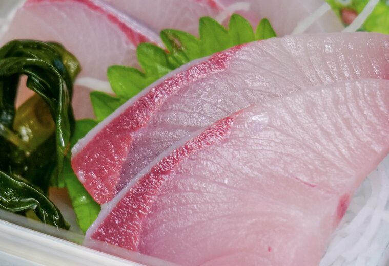 三月最旬のカボスぶり（かぼすブリ）の刺身