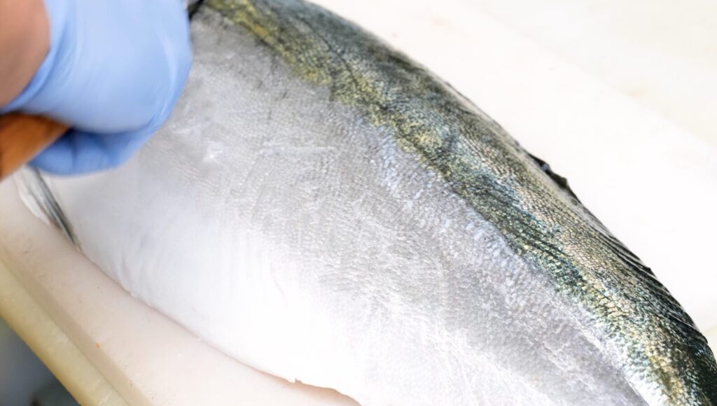 三月最旬のカボスぶり おろす前の状態