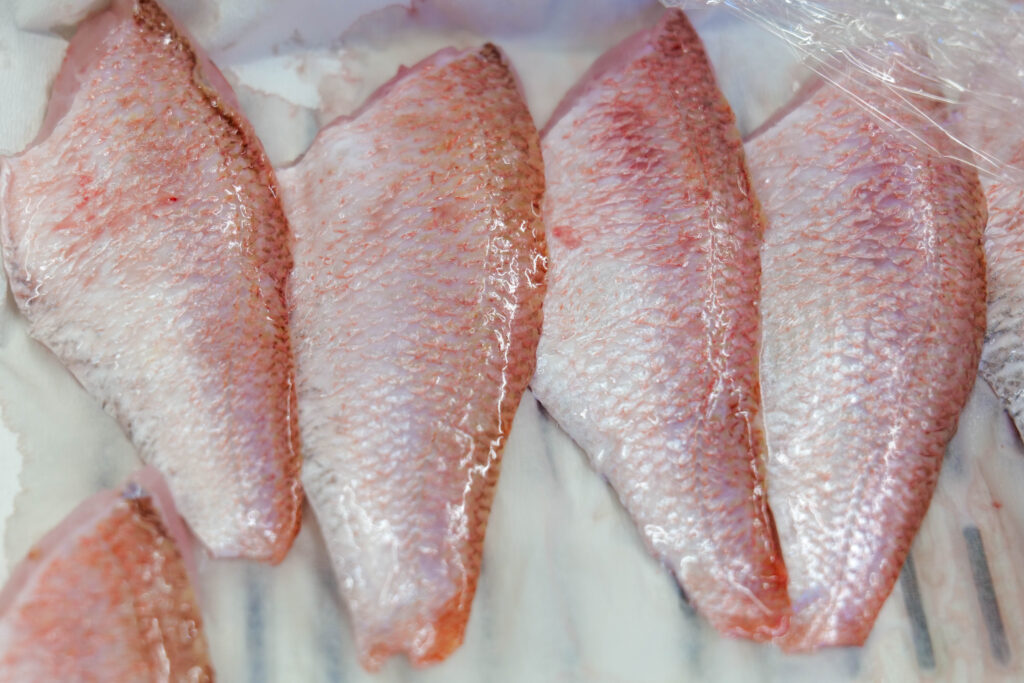 紅瞳 三枚おろし