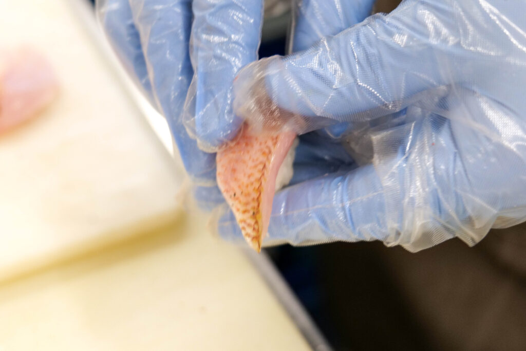 紅瞳を握っているところ